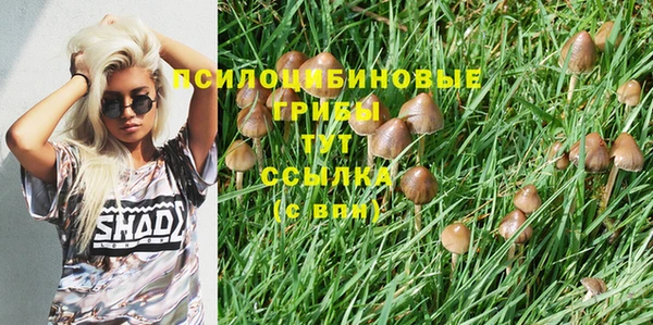 амфетамин Абдулино