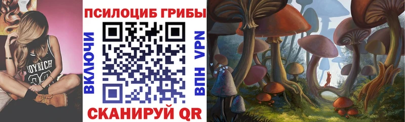 Псилоцибиновые грибы Psilocybine cubensis  Братск 